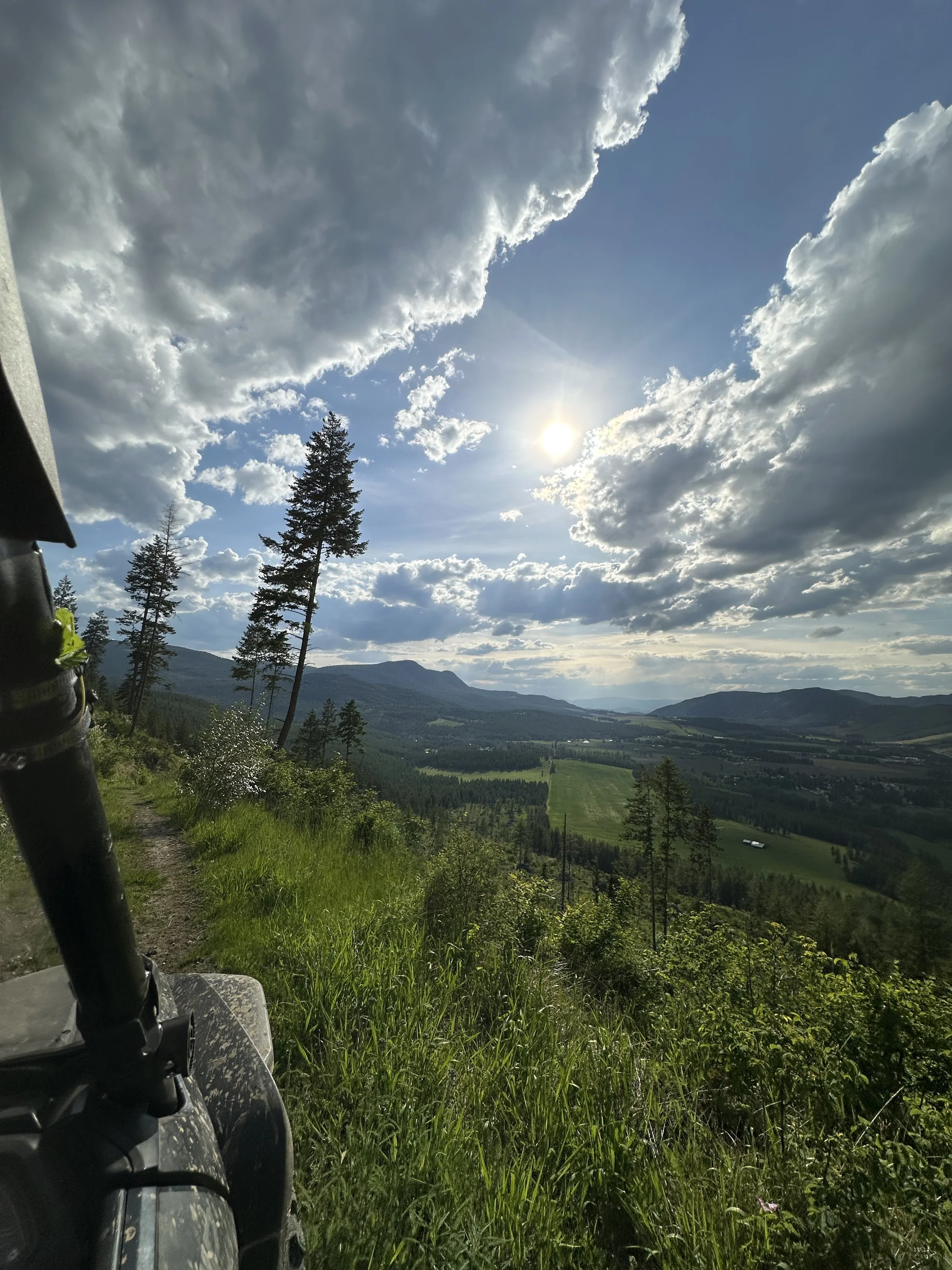 View of a lush green landscape with trees, hills, and mountains under a partly cloudy sky, captured from a moving vehicle or bike.
