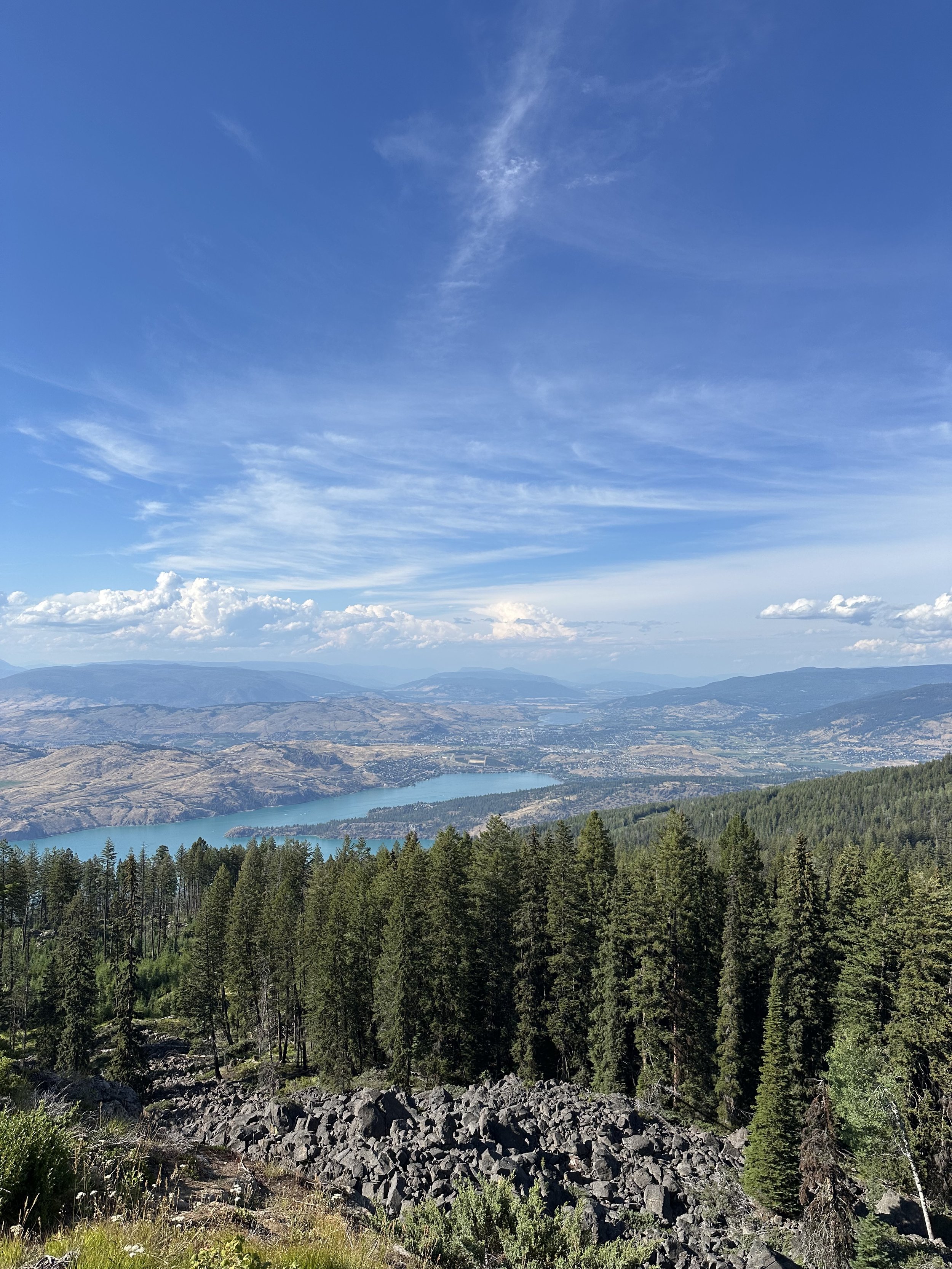 A view I'll never forget above the trees
