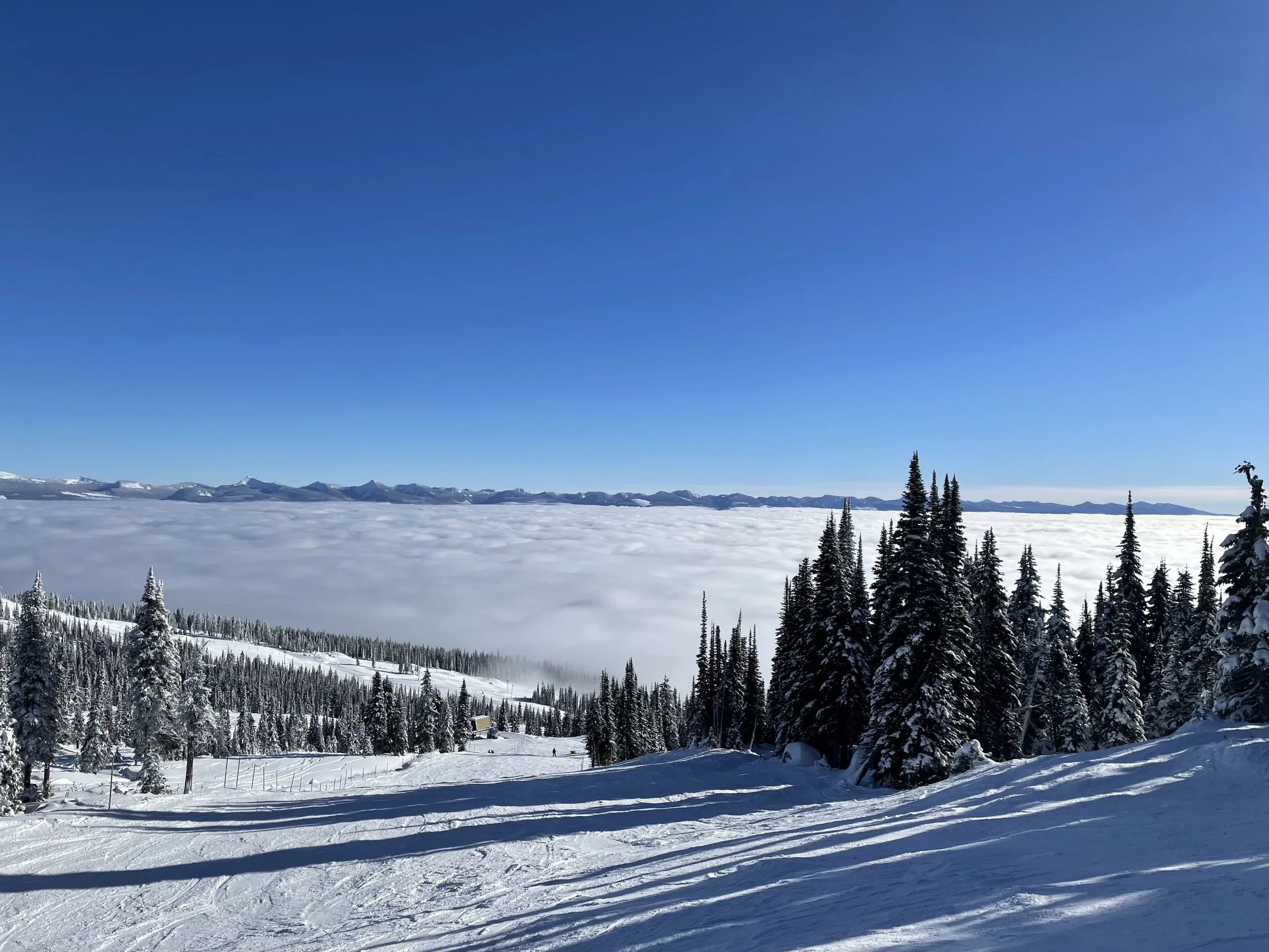 Snow-covered mountain landscape with a valley filled with clouds, evergreen trees in the foreground, and a clear blue sky.