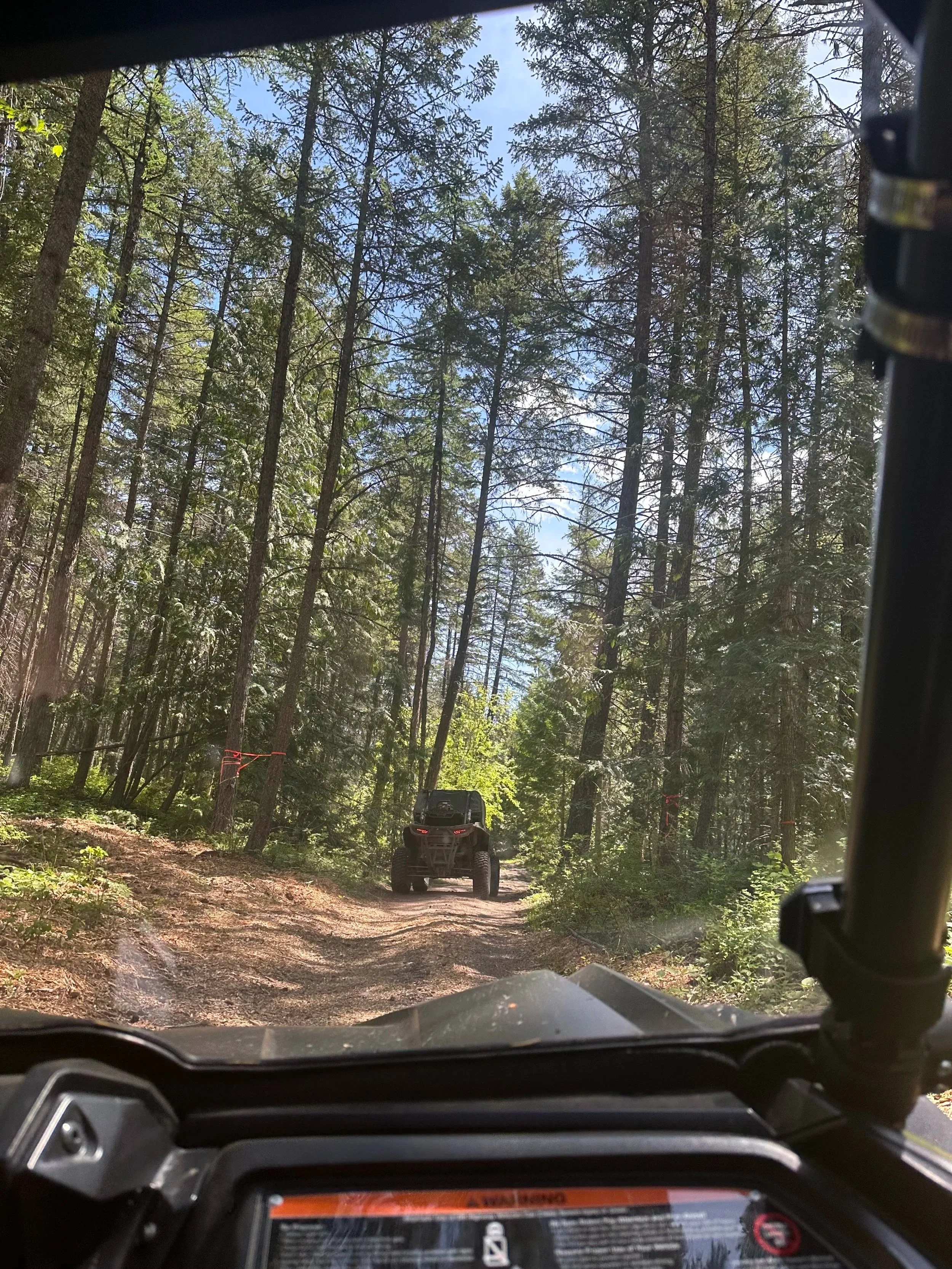 View of a forest trail taken from inside an off-road vehicle, showing another similar vehicle ahead on the dirt path surrounded by tall pine trees and blue sky.