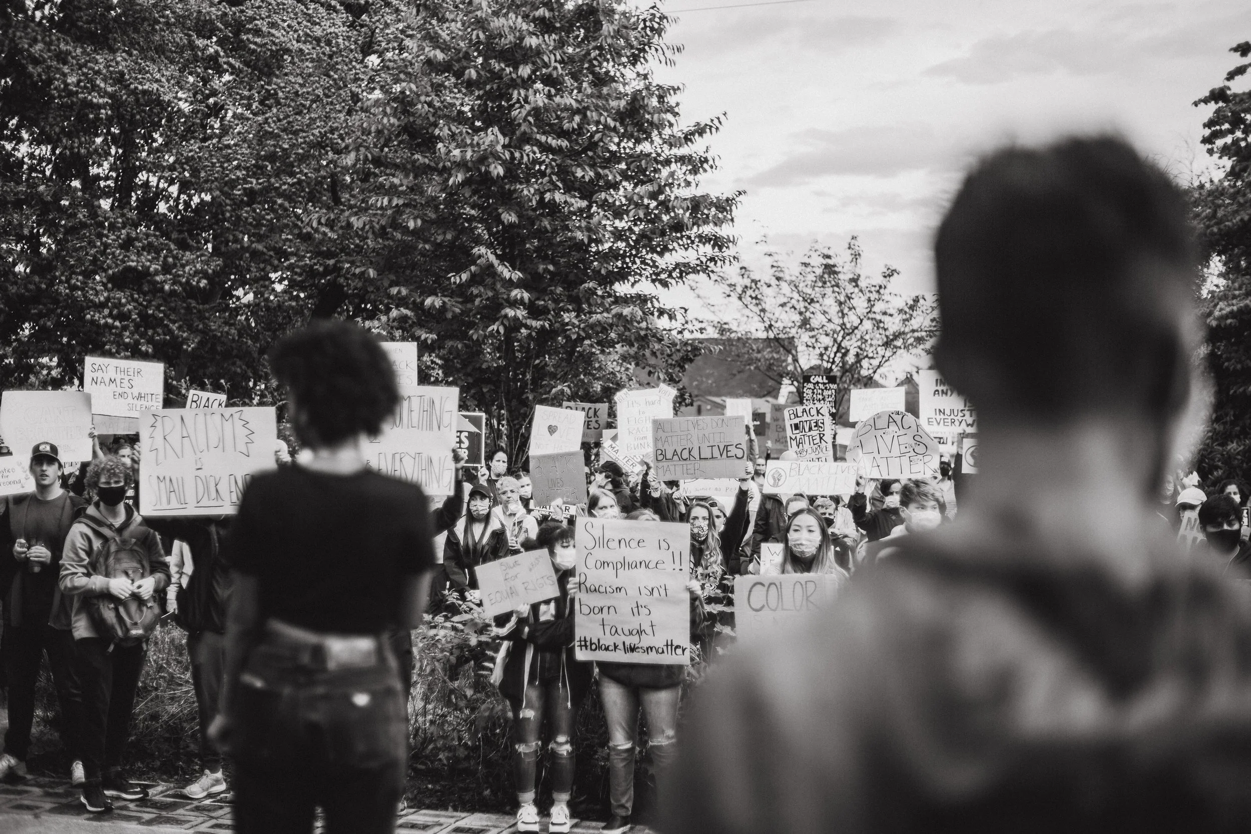 Crowd of protesters holding signs during a Black Lives Matter rally outdoors, with two individuals in the foreground facing the crowd, cloudy sky, and trees in the background.