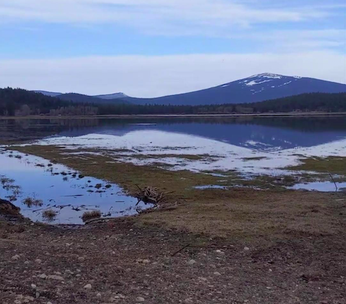 Combining beef cattle production with vital wetland restoration.