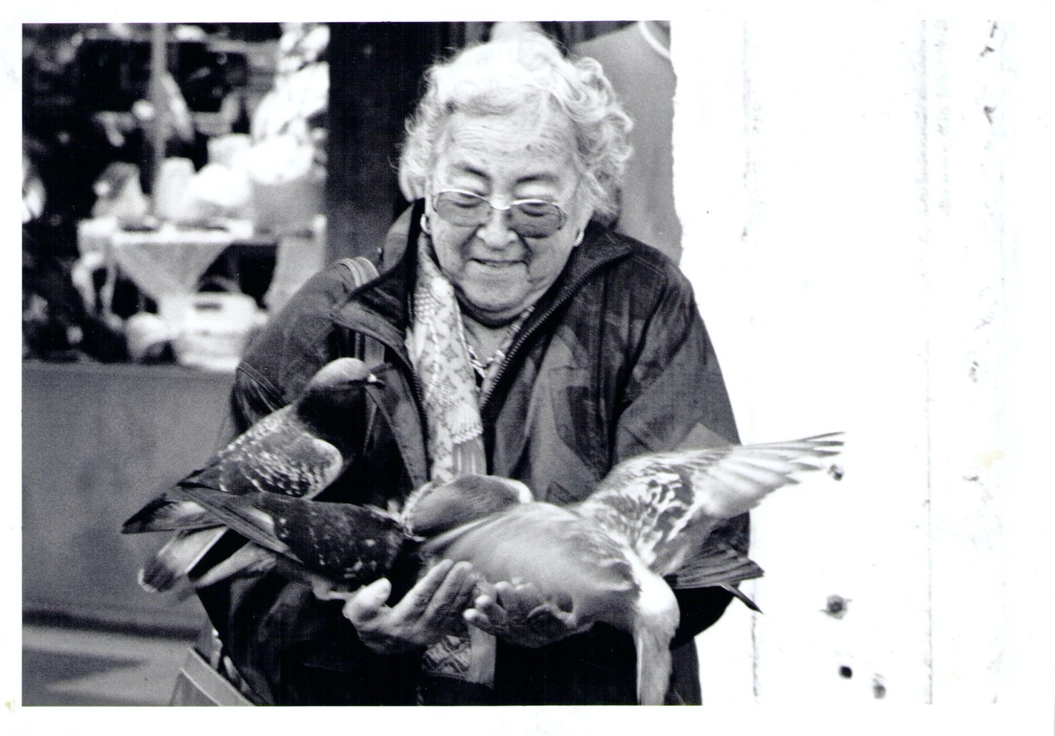 Felipa Dolores Solis