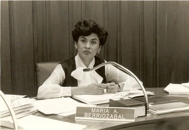 María Antonietta Berriozábal
