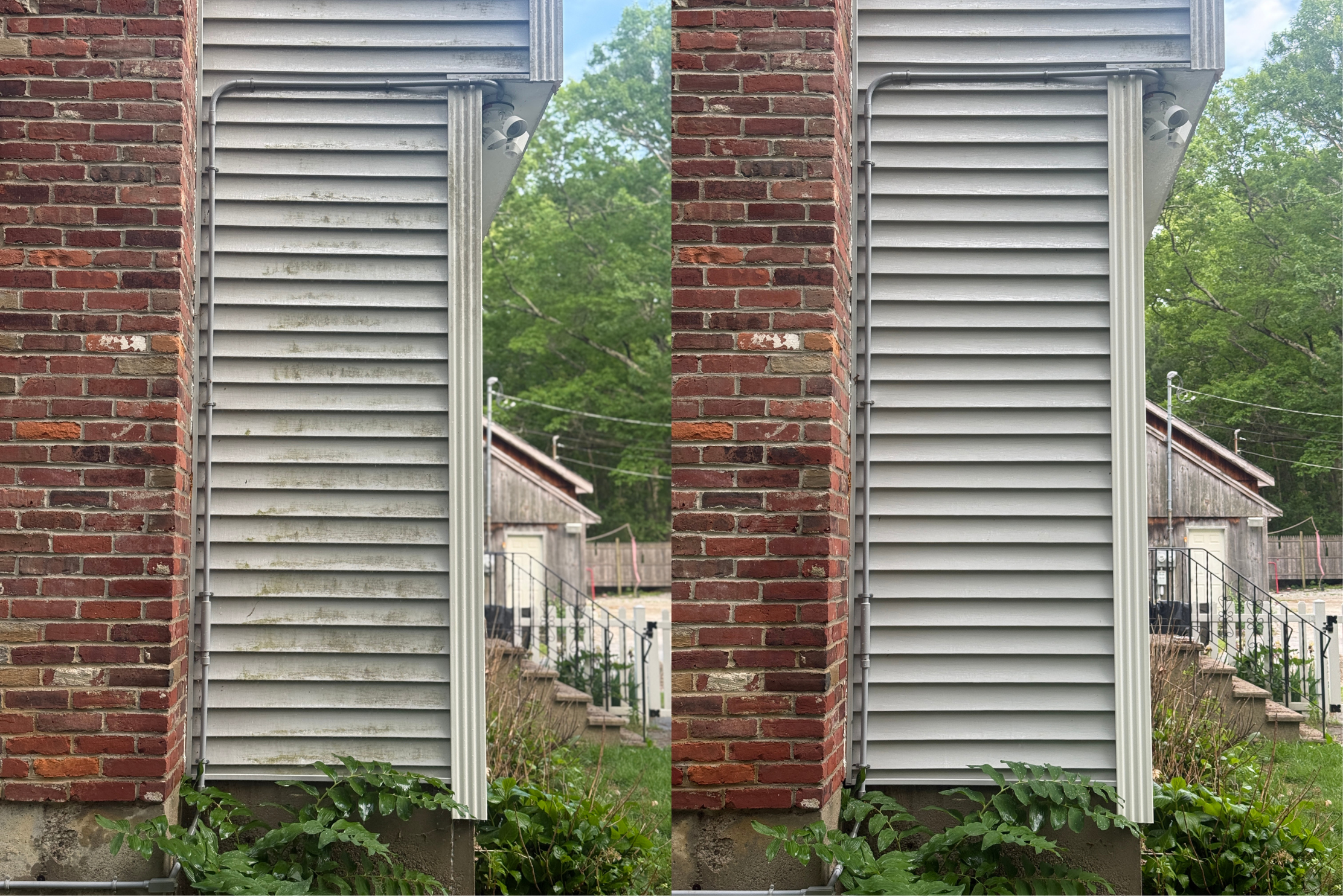 Untitled design (1).png