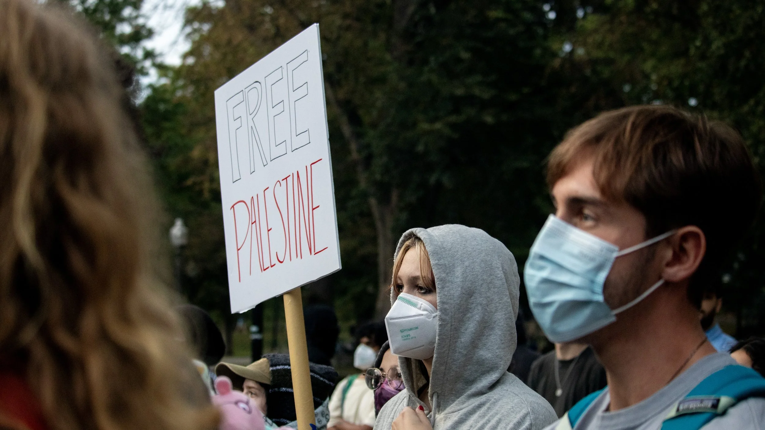 freepalestinesign.jpg