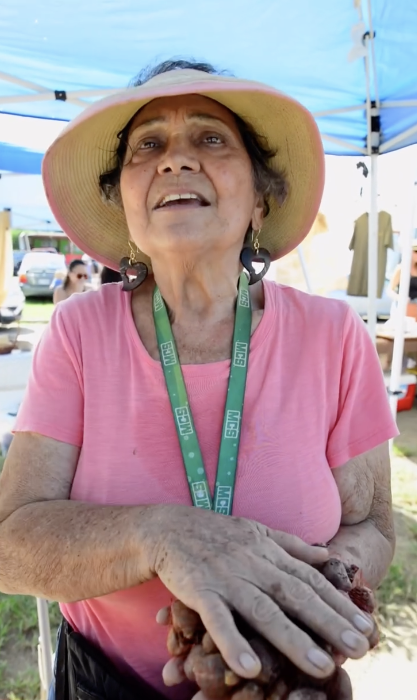 An elderly woman wearing a pink shirt and a large straw hat, standing under a blue canopy at an outdoor event, holding a handful of small brown fruit or nuts. She has earrings and a green lanyard around her neck.