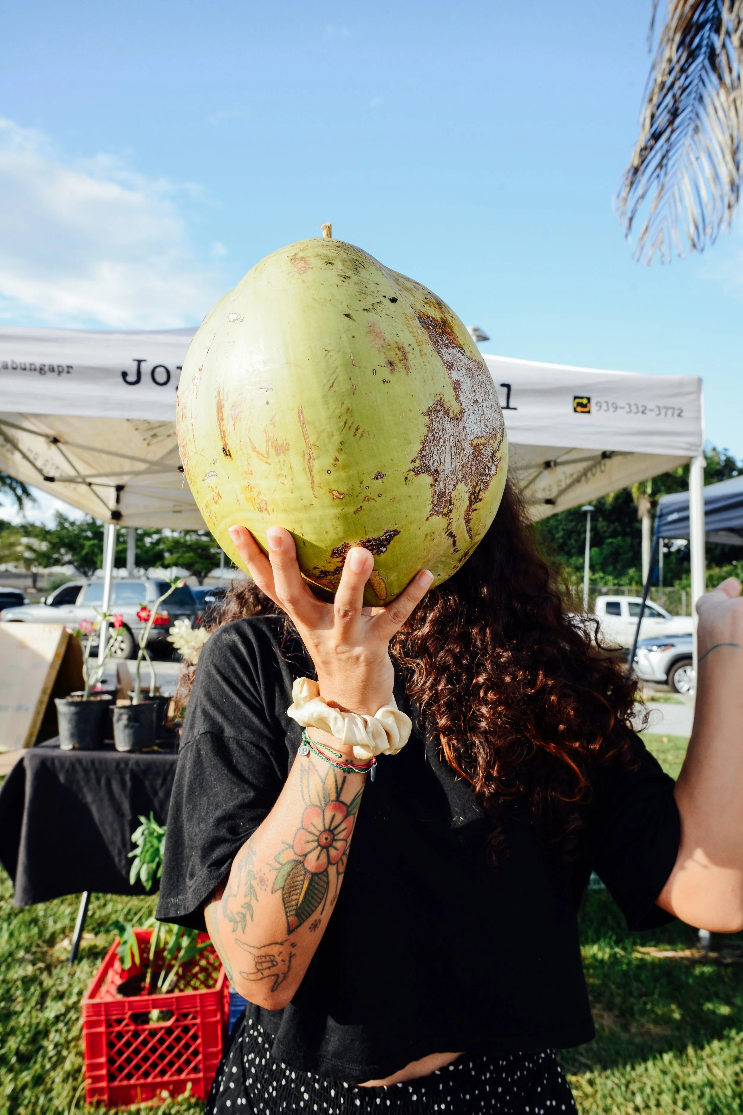 Person holding a large green coconut over face at an outdoor market with blue sky, tents, and cars in background.