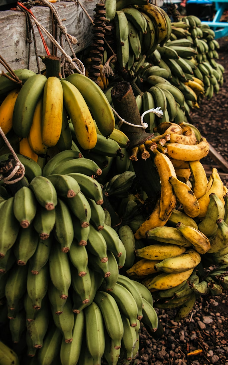Bundles of green and yellow bananas hanging on a wooden stand at a market.