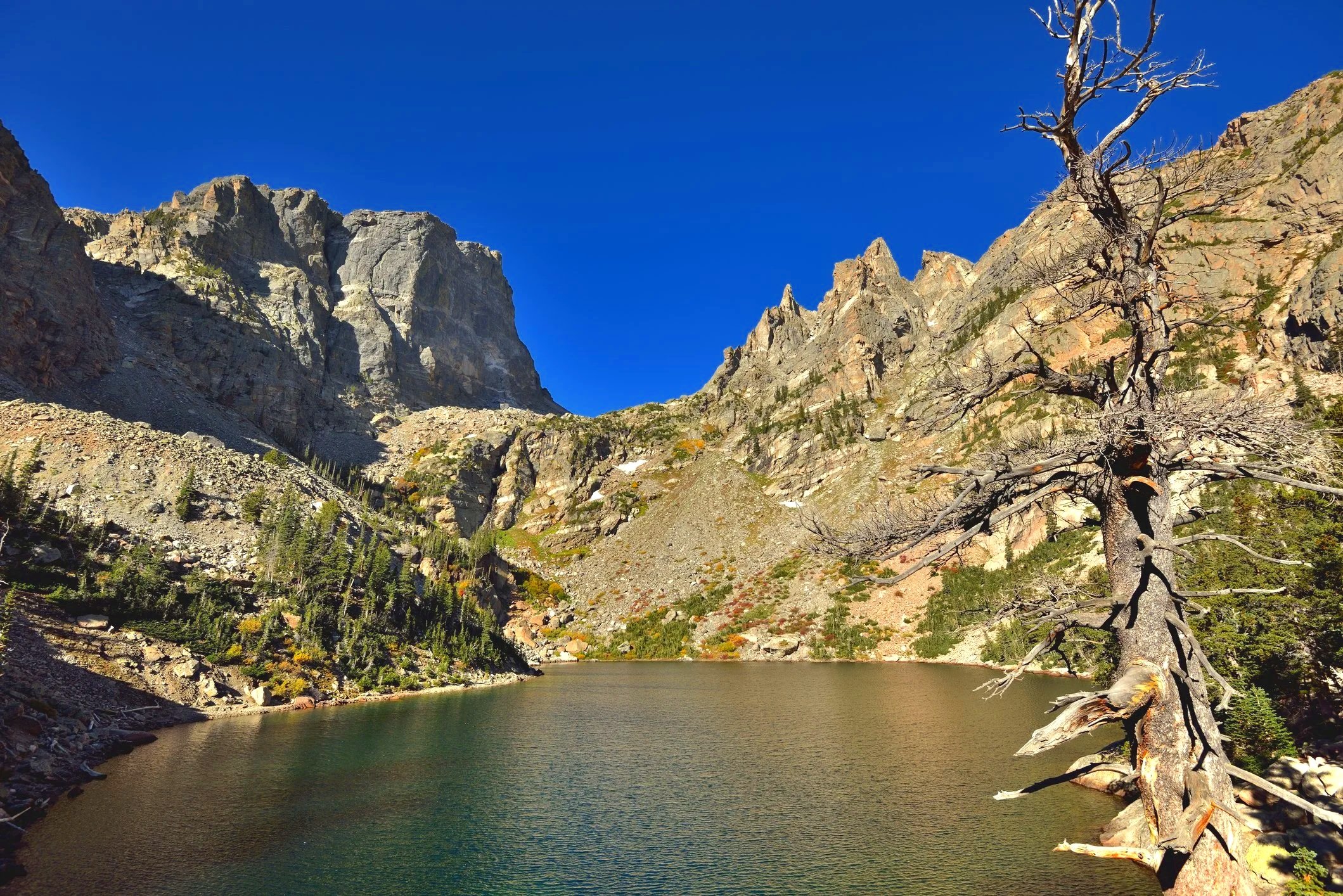 A mountain lake with clear water surrounded by rocky slopes and sparse vegetation, including a distinctive dead tree in the foreground, under a bright blue sky.
