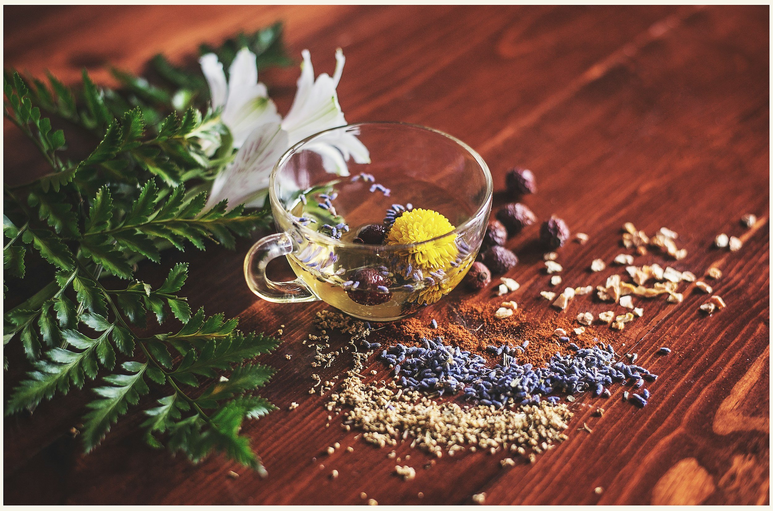 A clear teacup filled with herbal tea containing dried herbs, a yellow flower, and dark berries, placed on a wooden surface. Surrounding the cup are green fern leaves and scattered dried herbs and spices on the wood.