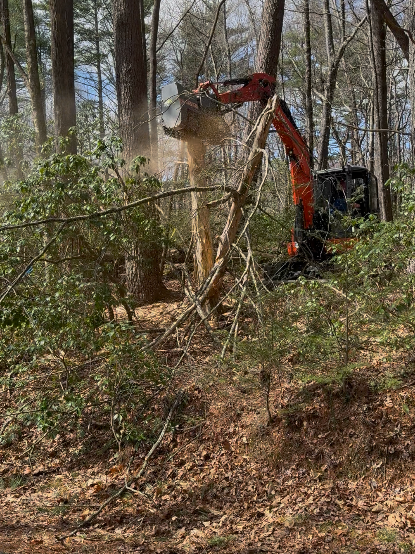Forestry Mulching in WNC