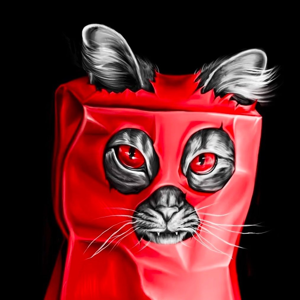 "Who Let the Cat Out of the Bag"- digital (cover of Who Let the Cat Out of the Bag: an illustrated book of idioms)