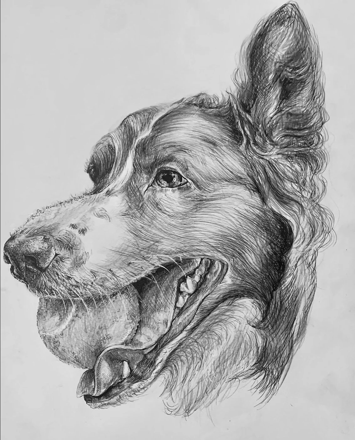 "Kaycee"- pen and ink