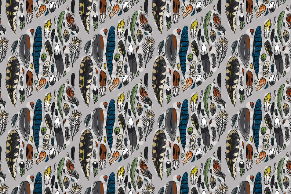 feathers_grey_small.png