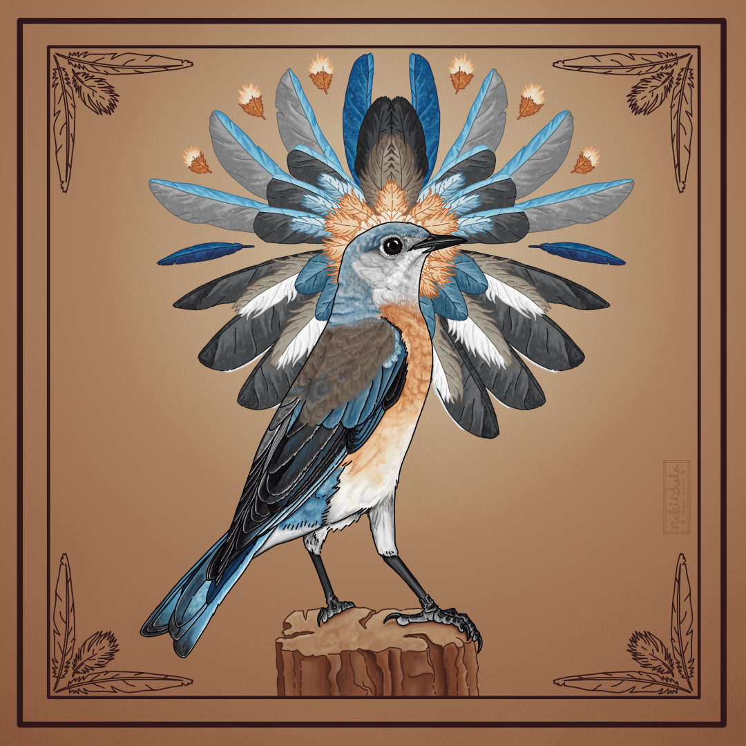 Western Bluebird with female plumage and a radial design made of feathers behind the bird. There's a border with feather designs in the corners. Colors include blues and oranges.