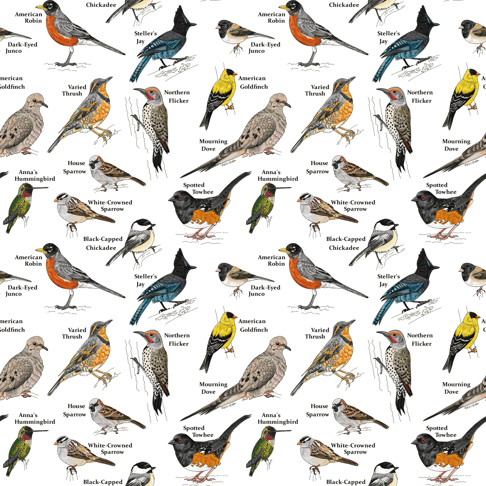Repeat pattern of common backyard birds of the midwest United States. Birds include: Northern Cardinal, Rose-breasted Grosbeak, Mourning Dove, Common Grackle, White-crowned Sparrow, Chipping Sparrow, Ruby-throated Hummingbird, Eastern Bluebird, Balti