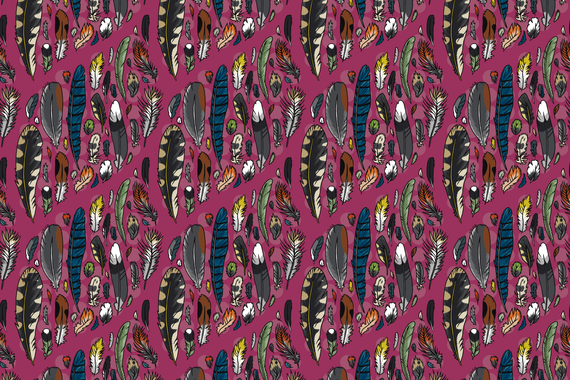 feathers_pink_small.png
