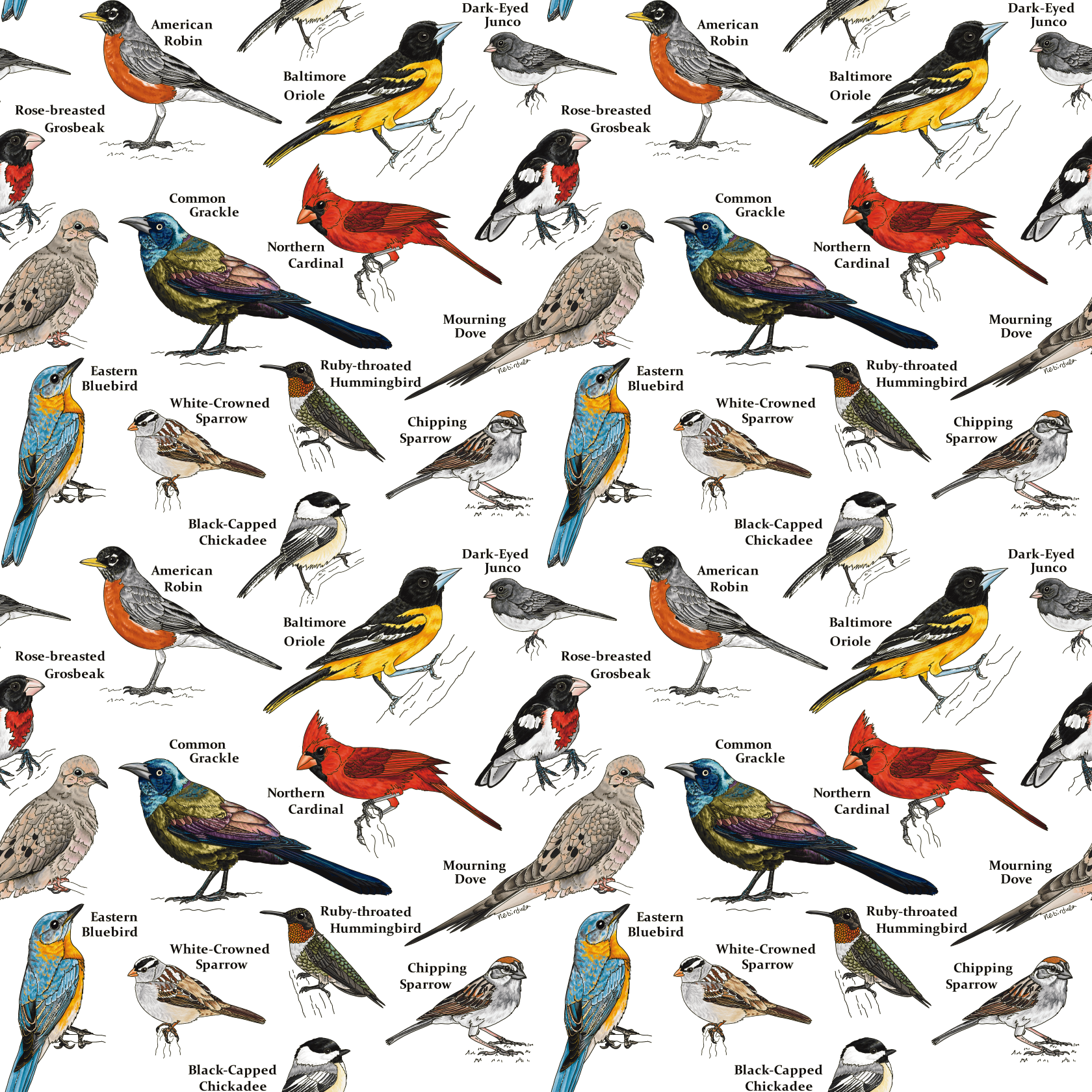 Repeat pattern of common backyard birds of the pacific northwest United States. Birds include:  Steller's Jay, Varied Thrush, Northern Flicker, American Robin, American Goldfinch, Mourning Dove, Spotted Towhee, Black-capped Chickadee, House Sparrow, 