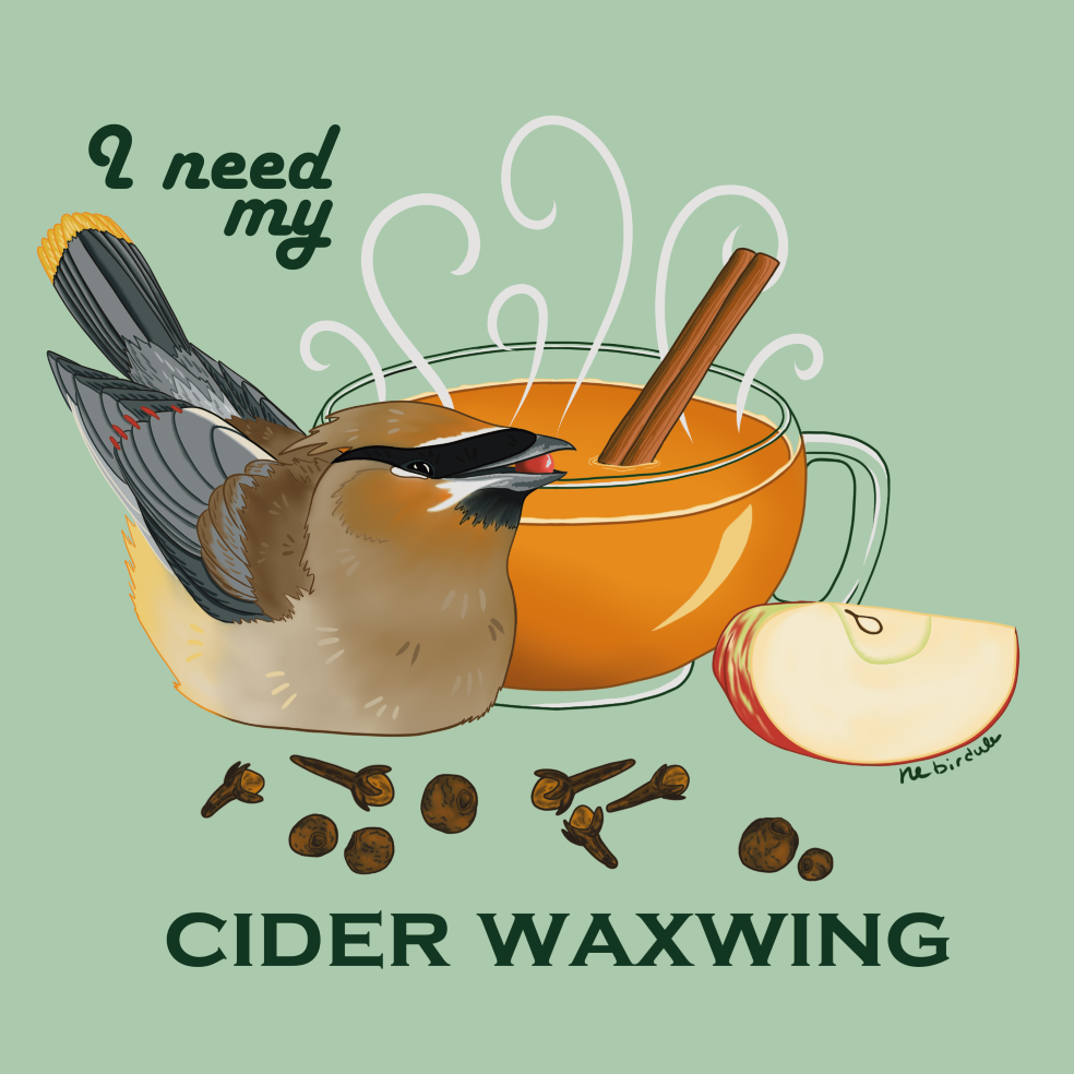 Cedar waxing bird loafing next to a steaming cup of apple cider. In the cider is a cinnamon stick, around the cup is an apple slice and various whole spices Background is a pastel green, text around the design reads: “I need my cider waxwing”.
