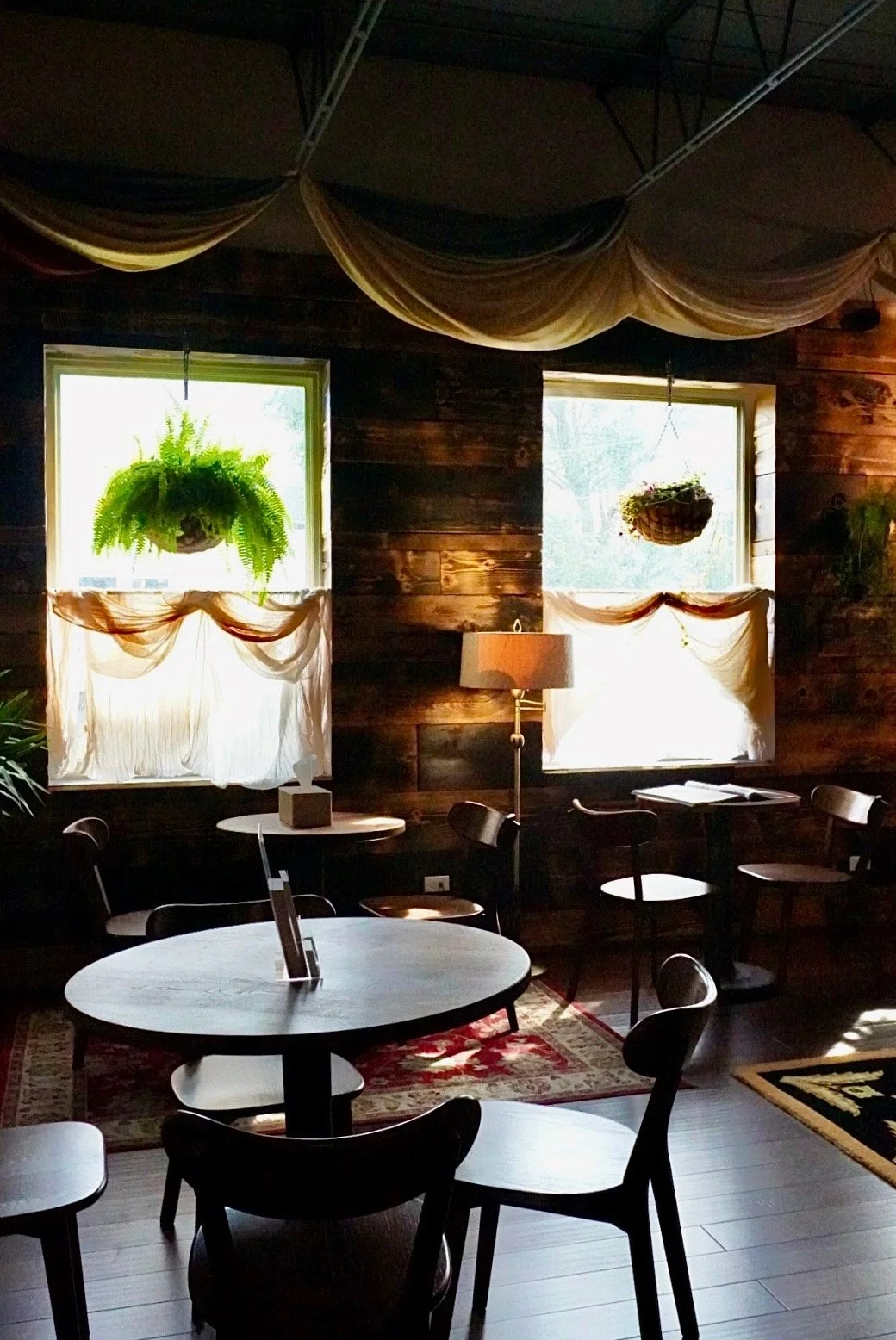 Interior of a cozy cafe or restaurant with wooden walls, round tables, chairs, hanging potted ferns, and curtains by the windows, with sunlight streaming in.