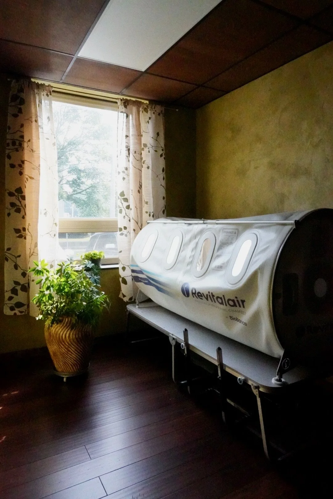 A RevitalAir chamber placed in a room with wooden floor, yellow-green textured wall, window with curtains, and a potted plant.