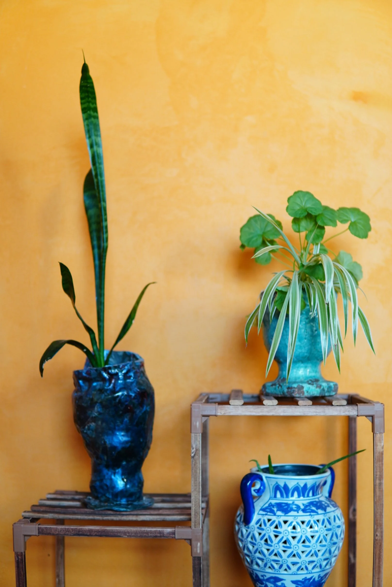 Arrangement of three decorative planters with green plants against a yellow wall, with the planters on small wooden tables.