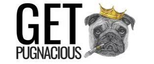 Get Pugnacious client logo