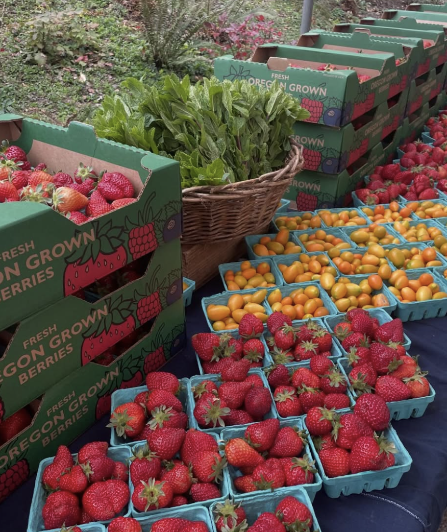 woodlawn farmers market