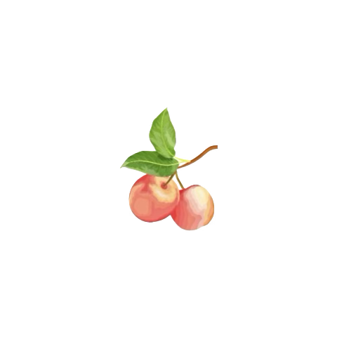 edenshomebakery.net
