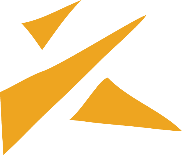 Paper Planes Wine Co. logo