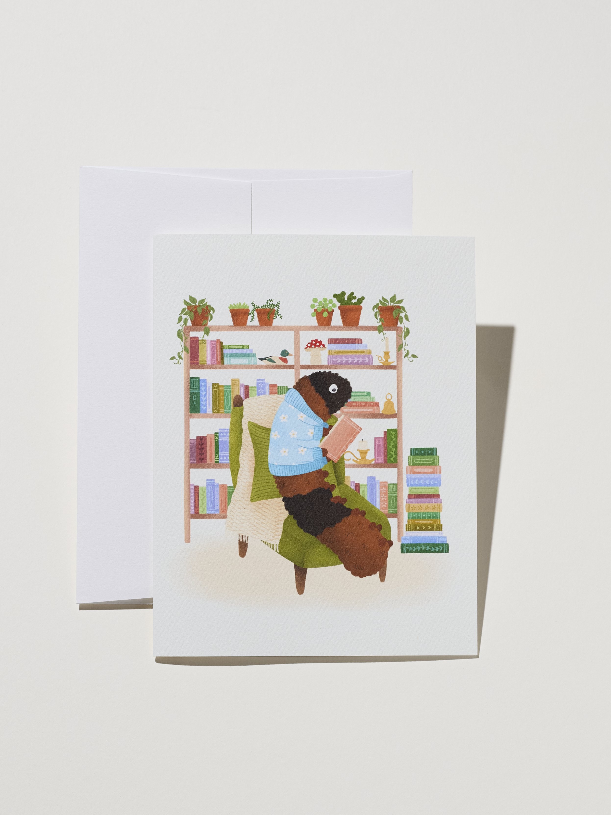 Woolly Worm The Book Worm