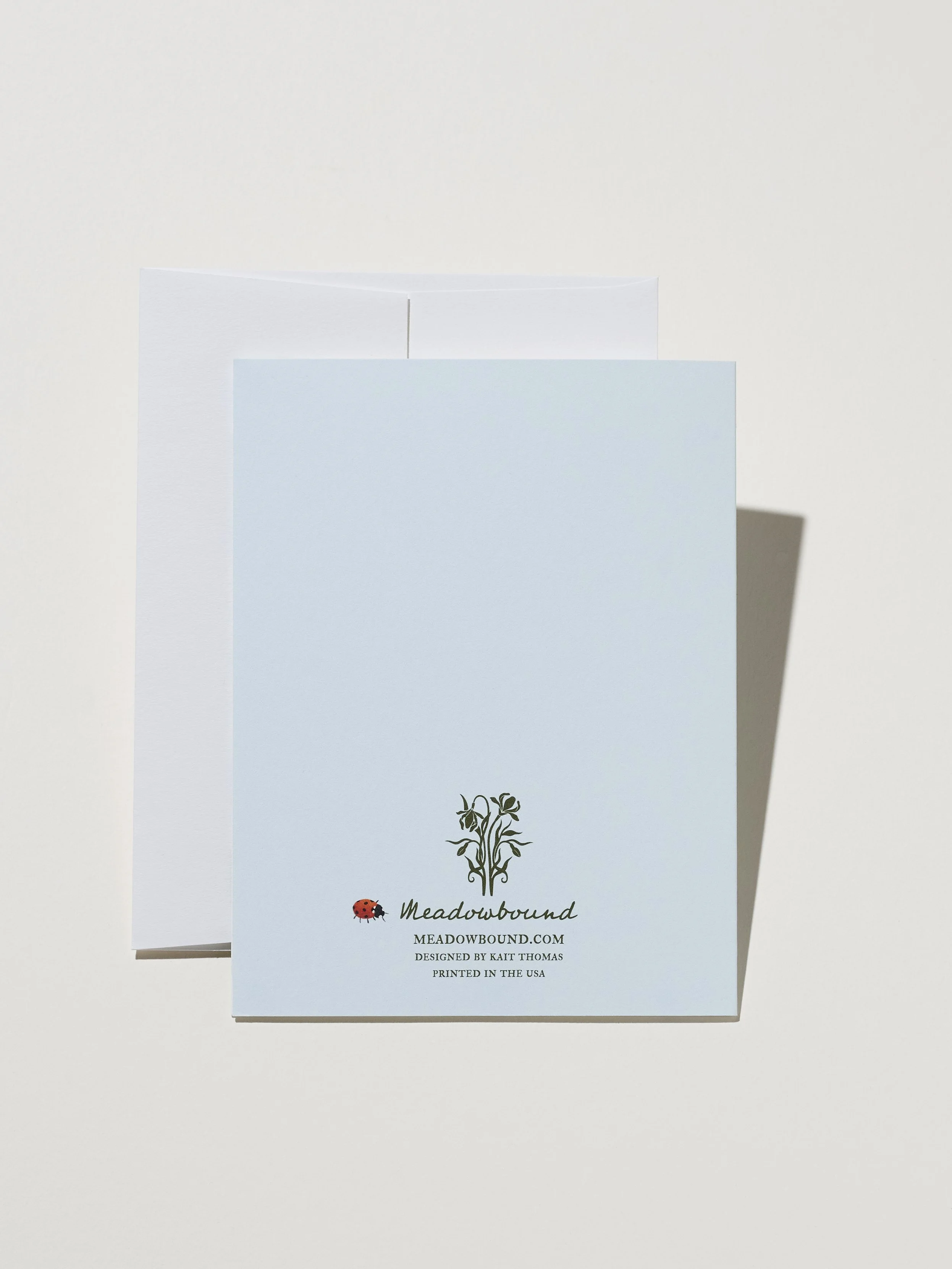 LadybugsInSpeedwell_back_036.jpg