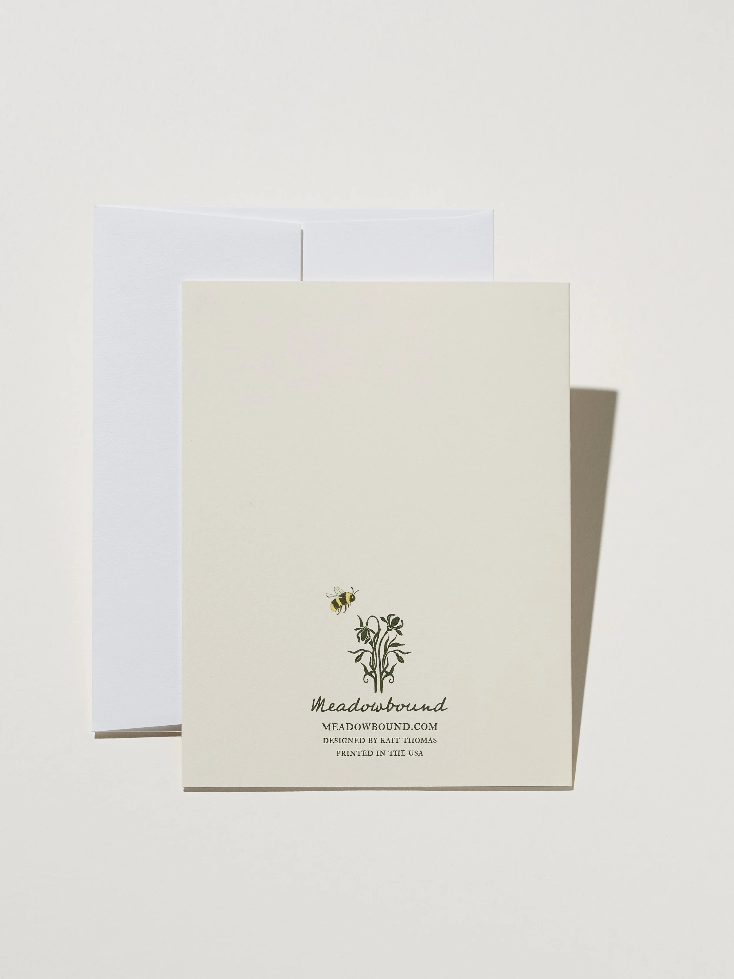 Chamomile_back_045.jpg