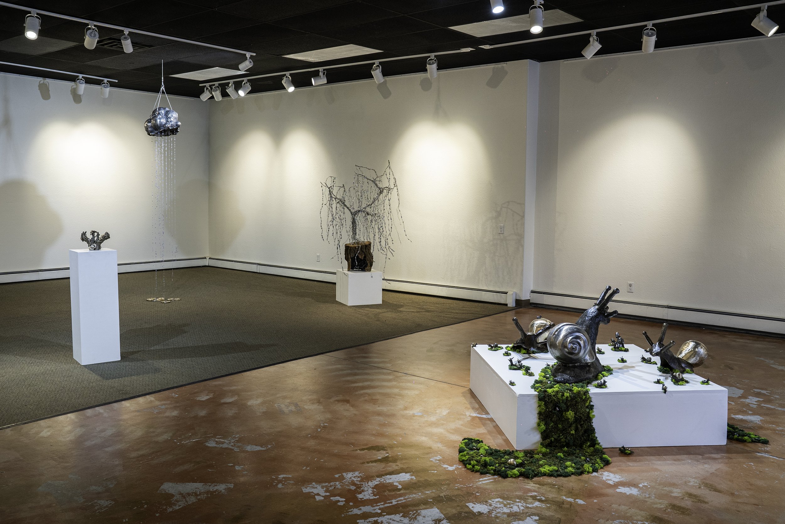 Gallery View