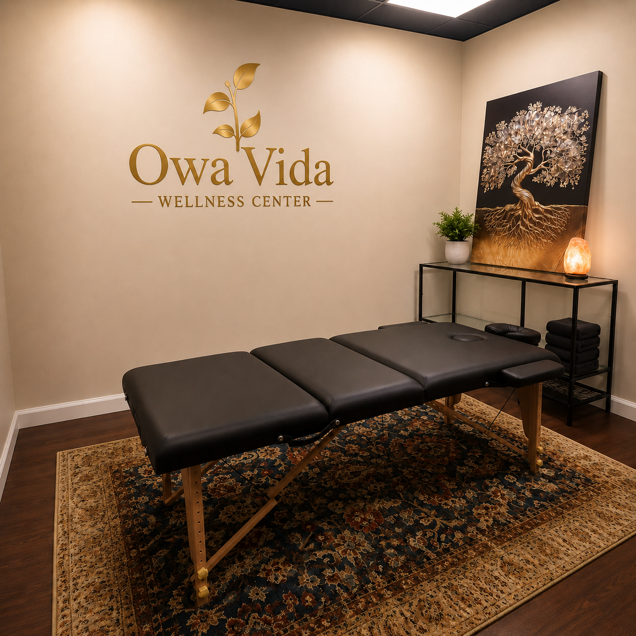 Owa Vida Service