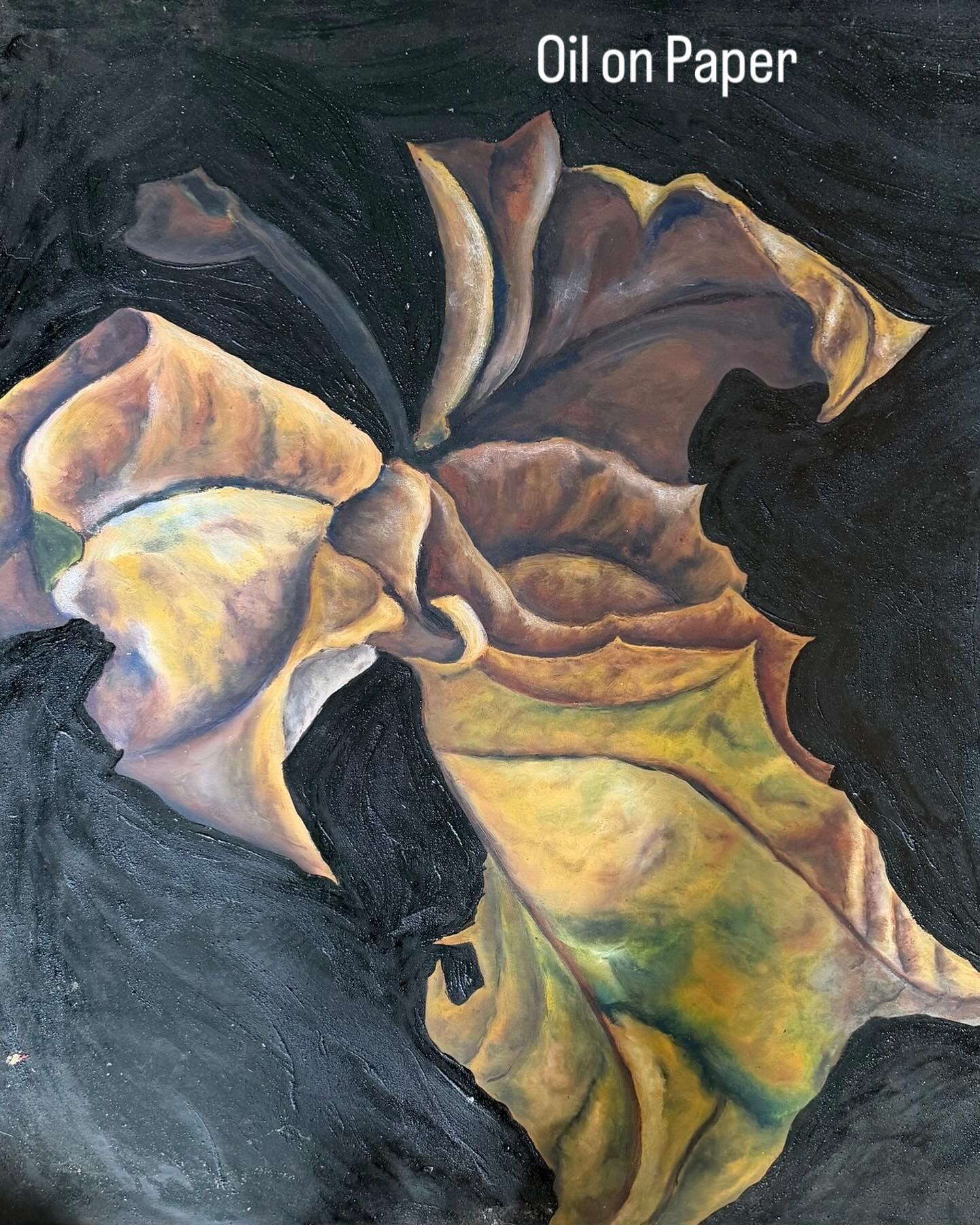 Another leaf dancing as Fall approaches&hellip;