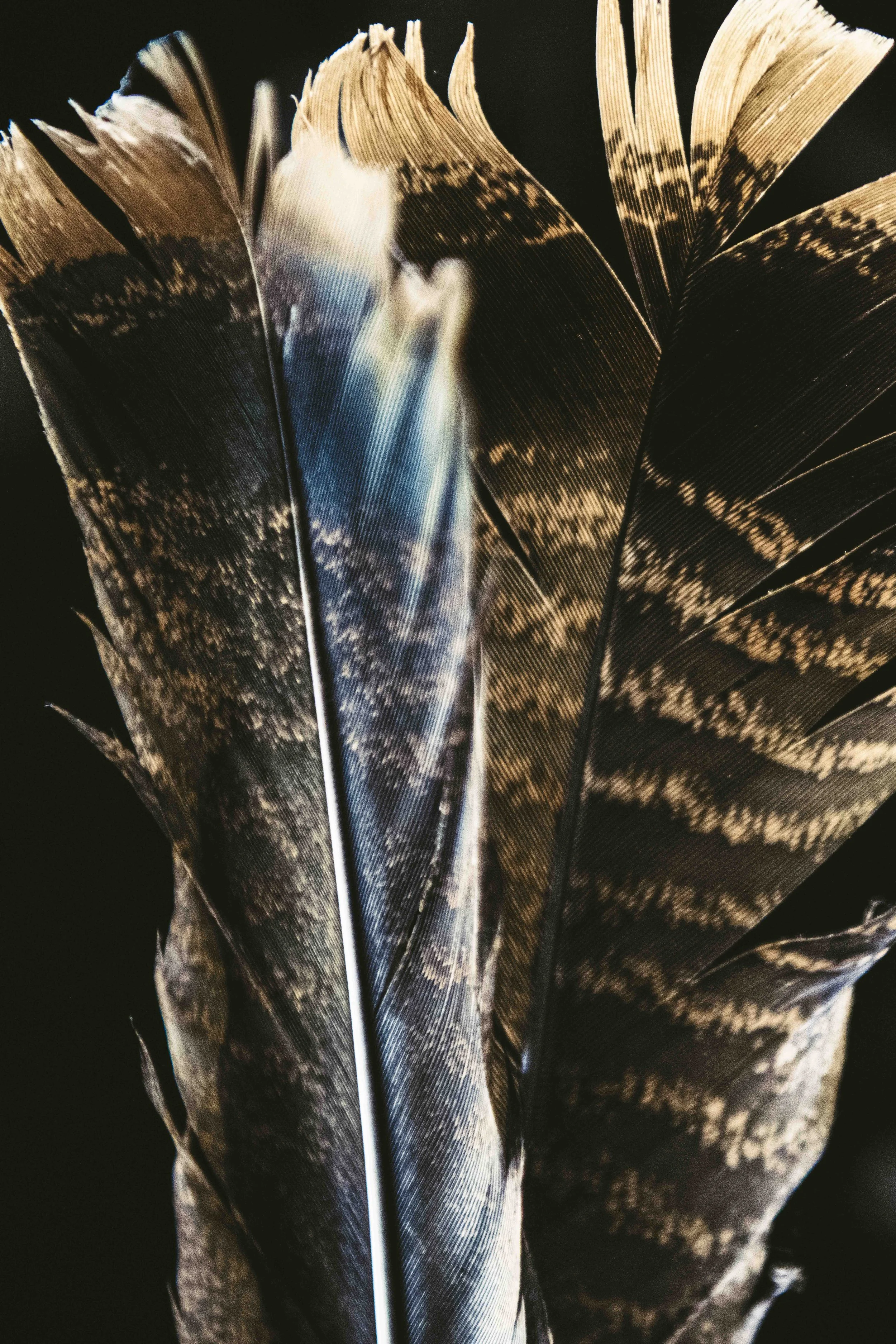 BWN_3775-3.jpg