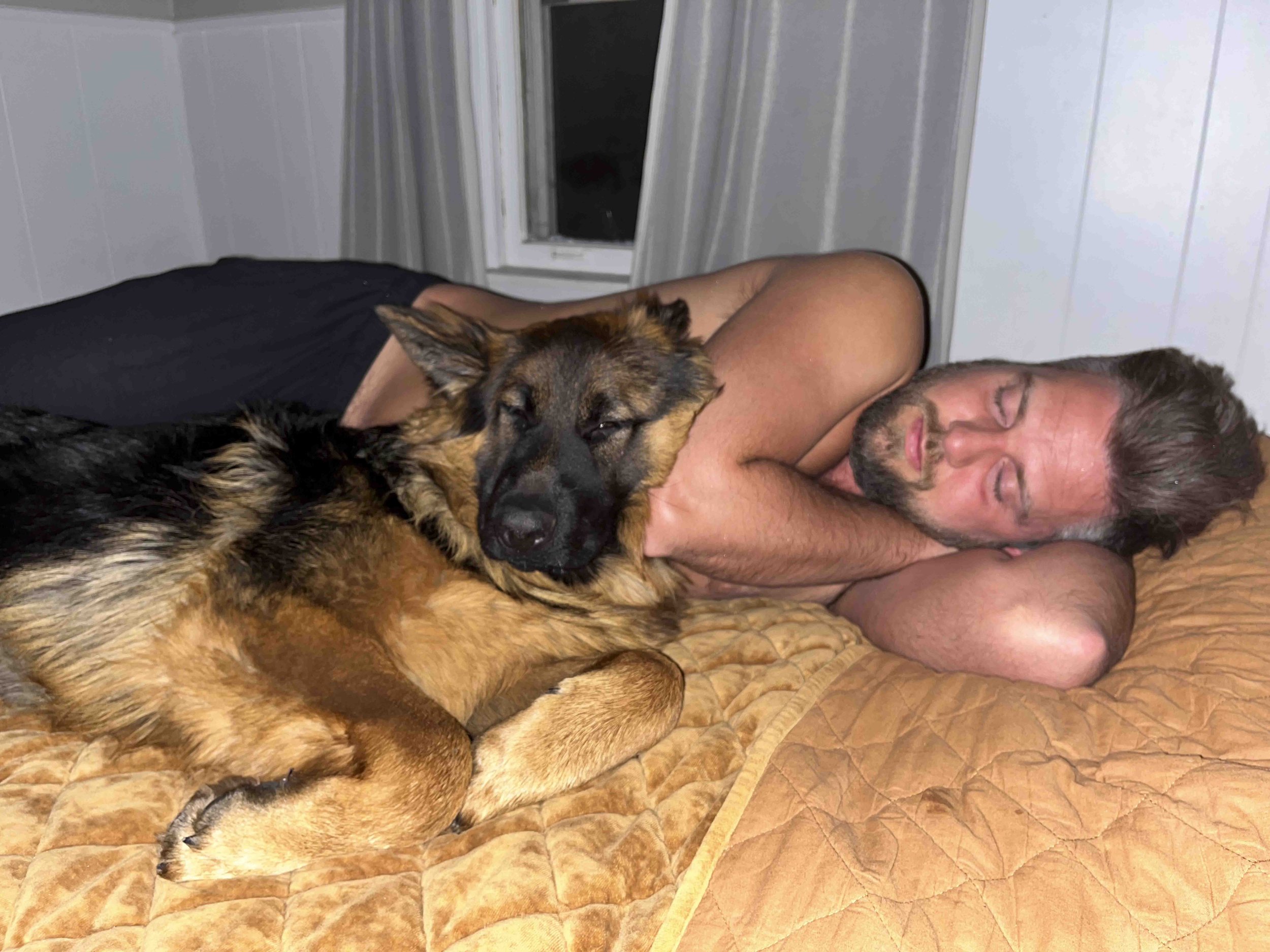 A man with short hair and a beard is lying on a bed with his eyes closed, embracing a large black and brown dog that is resting on him.