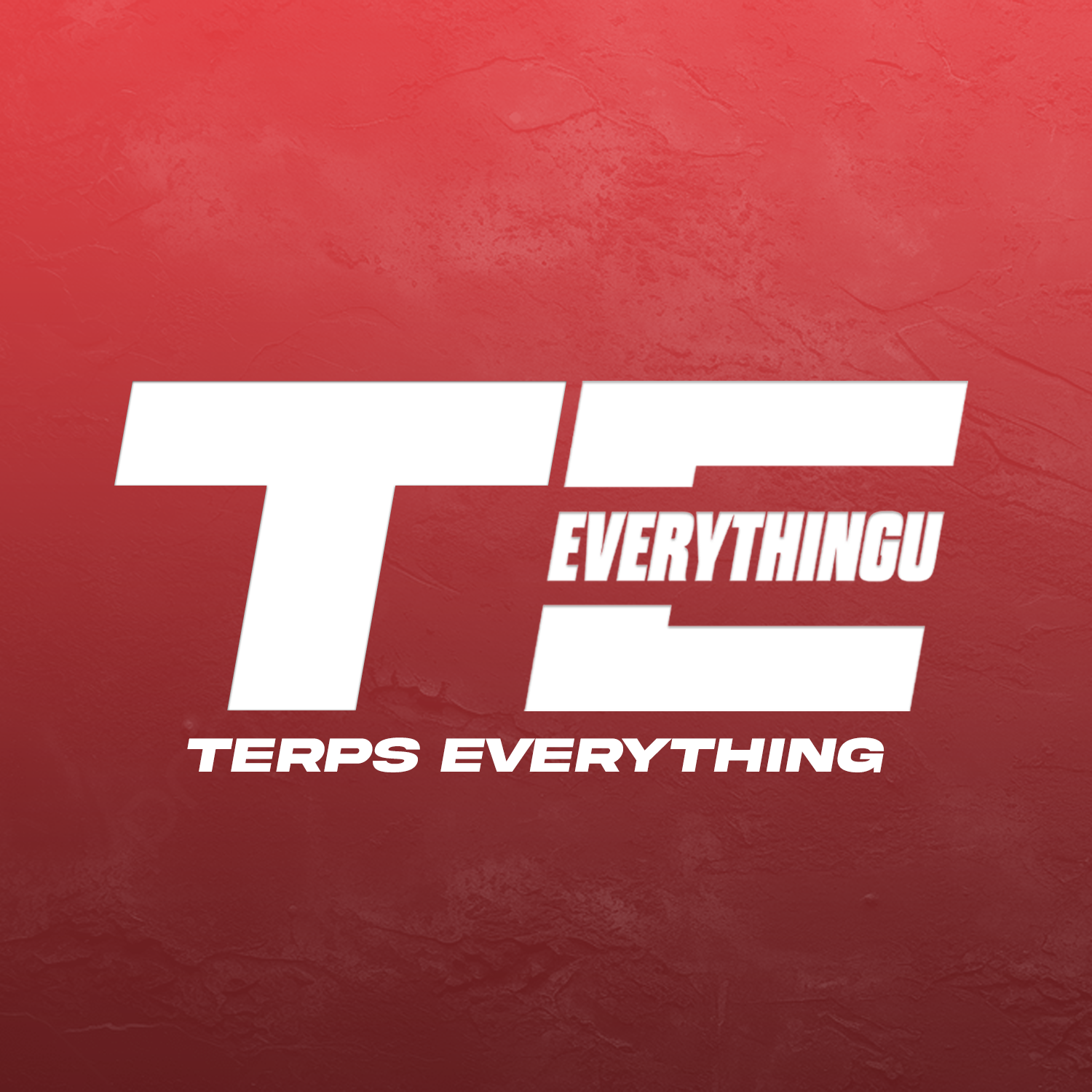 Red textured background with large white letters 'T' and 'E', smaller white text 'EVERYTHInG', and 'TERPS EVERYTHING' at the bottom.