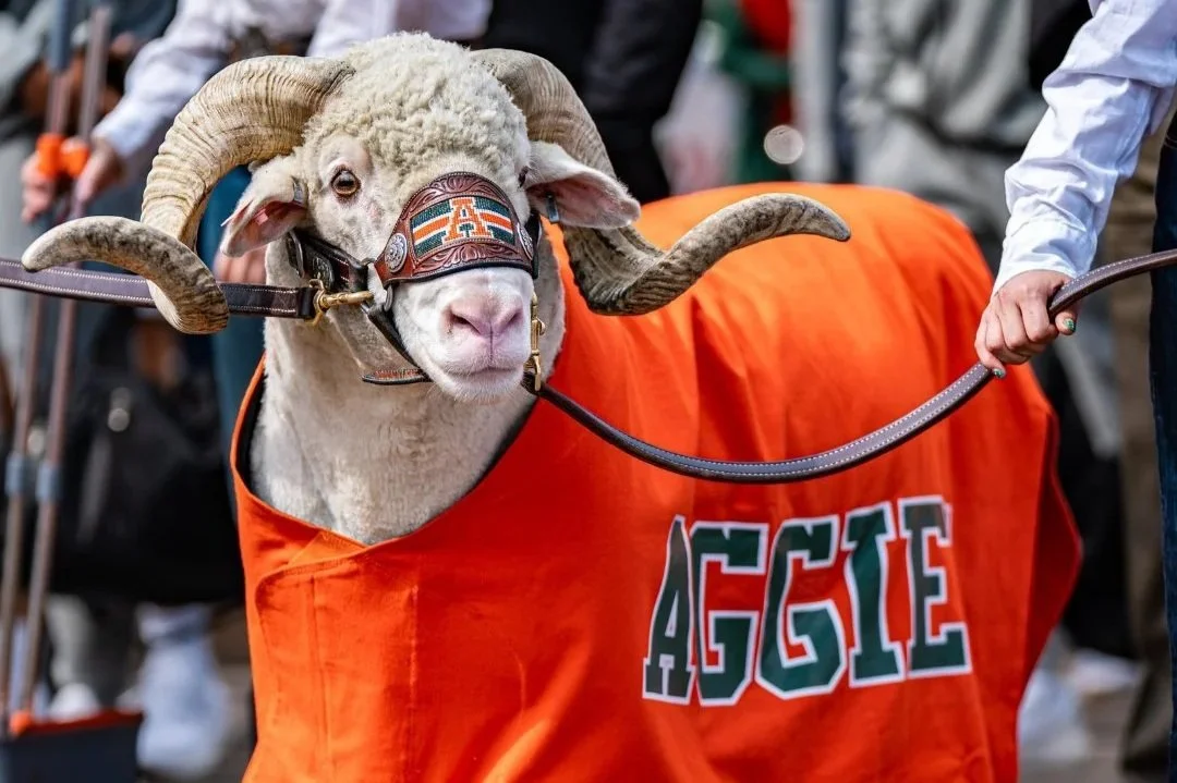 AG Football Game Preview and Predictions