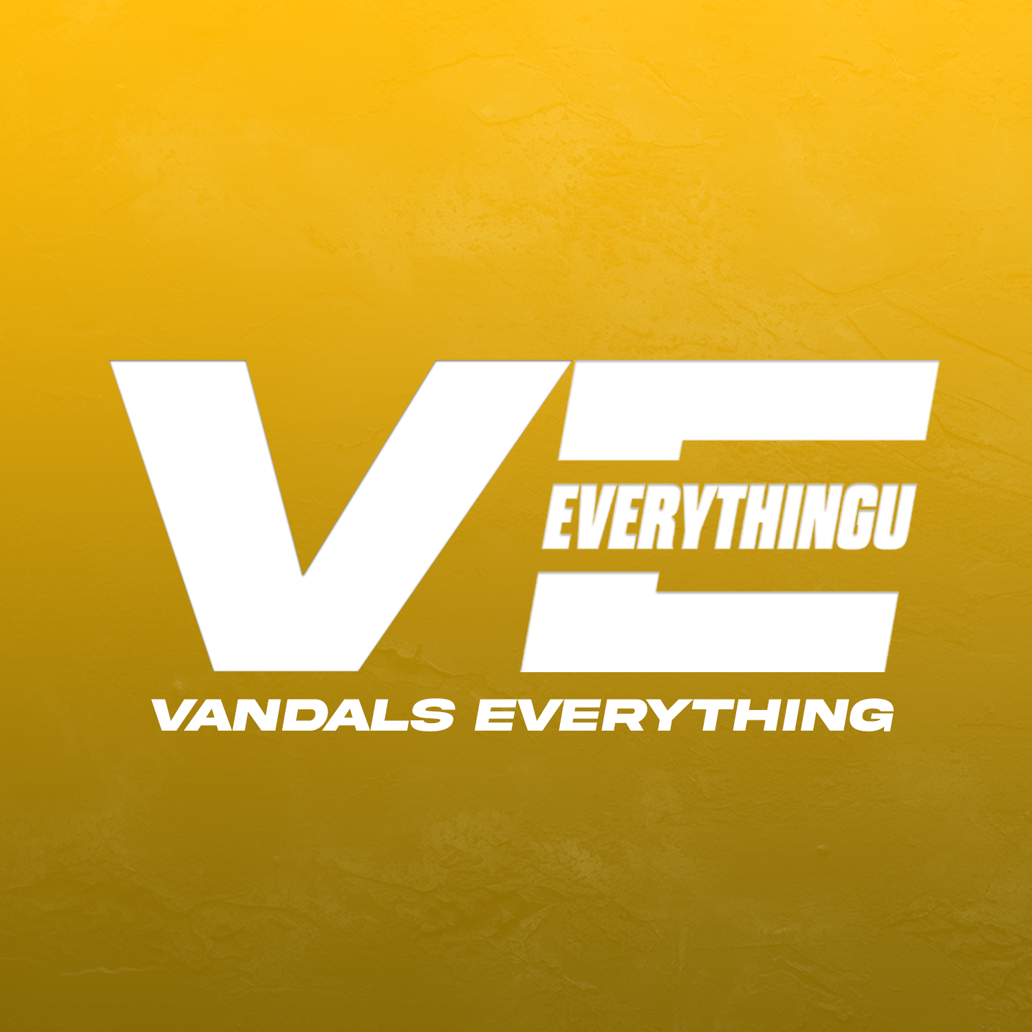 Bold white text on a yellow textured background reads "V E" with smaller text "EVERYTHING" between the letters and "VANDALS EVERYTHING" below.