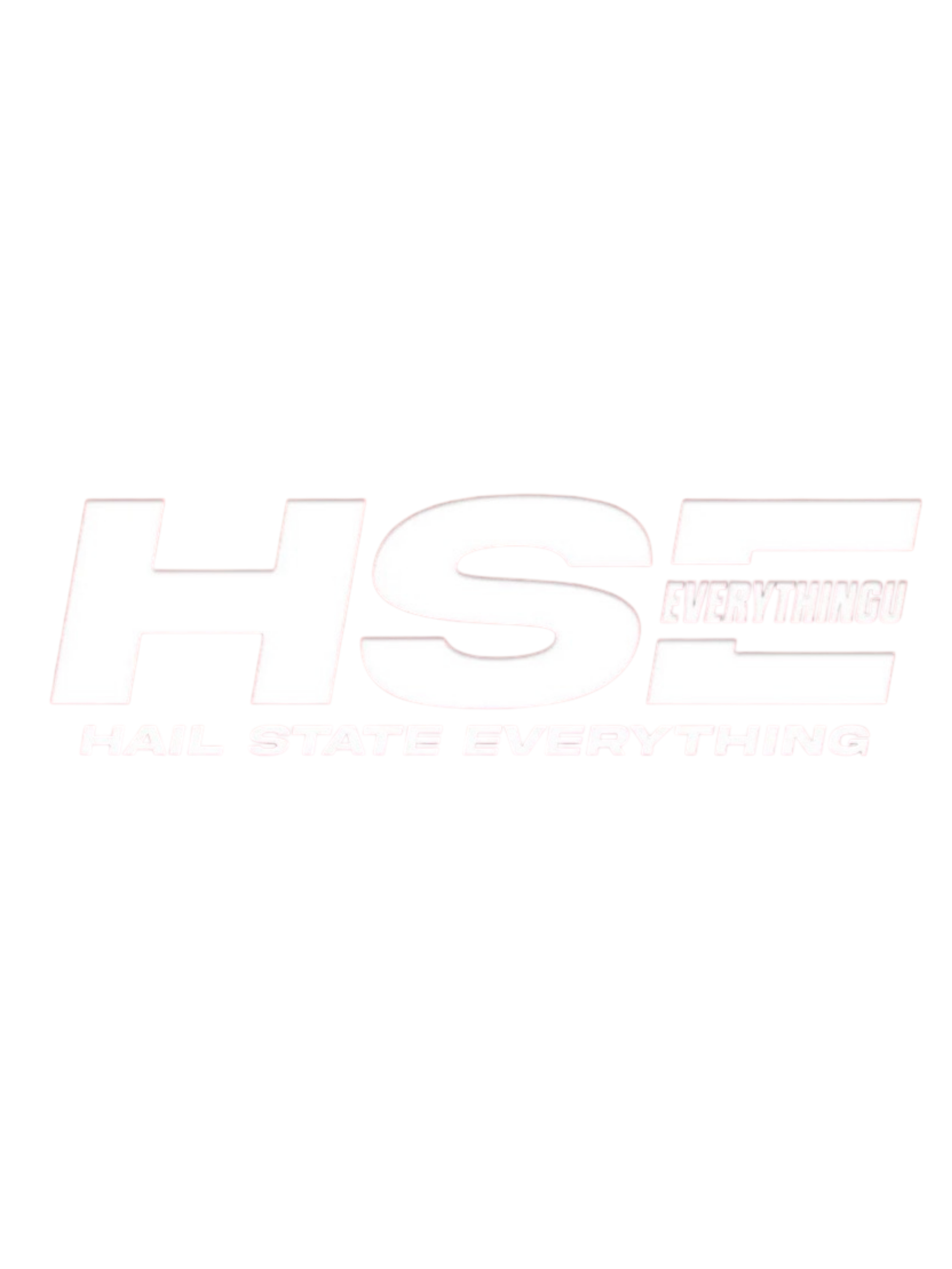 Close-up of the logo from the television show 'Hulk Hogan's Hulkamania' with the words 'HULK' in large white letters, 'EVERYTHING' in small red letters, and 'HAIL STATE EVERYTING' in white text at the bottom.