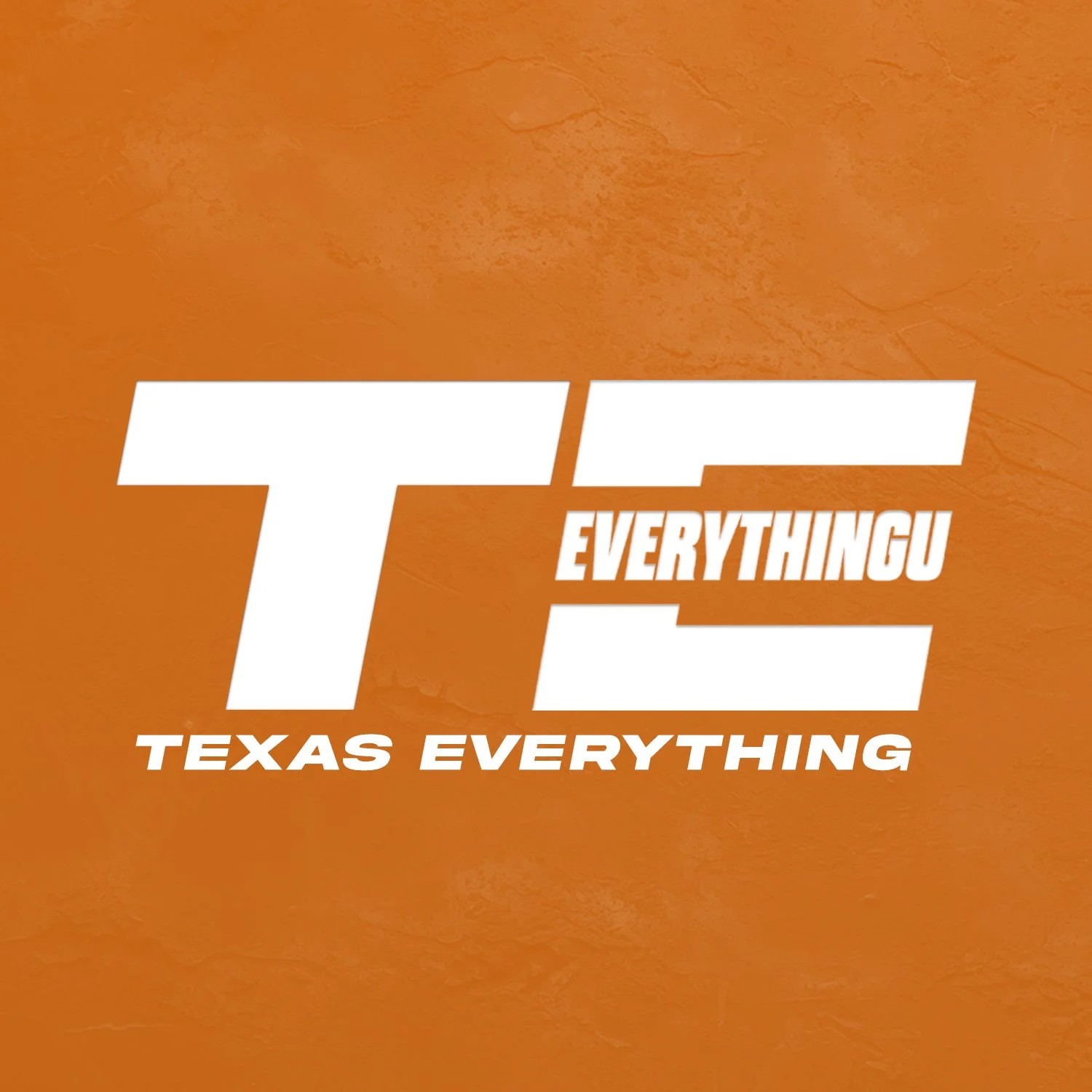 Image features bold white text on an orange background that reads 'T E EVERYTHING' and 'TEXAS EVERYTHING'.