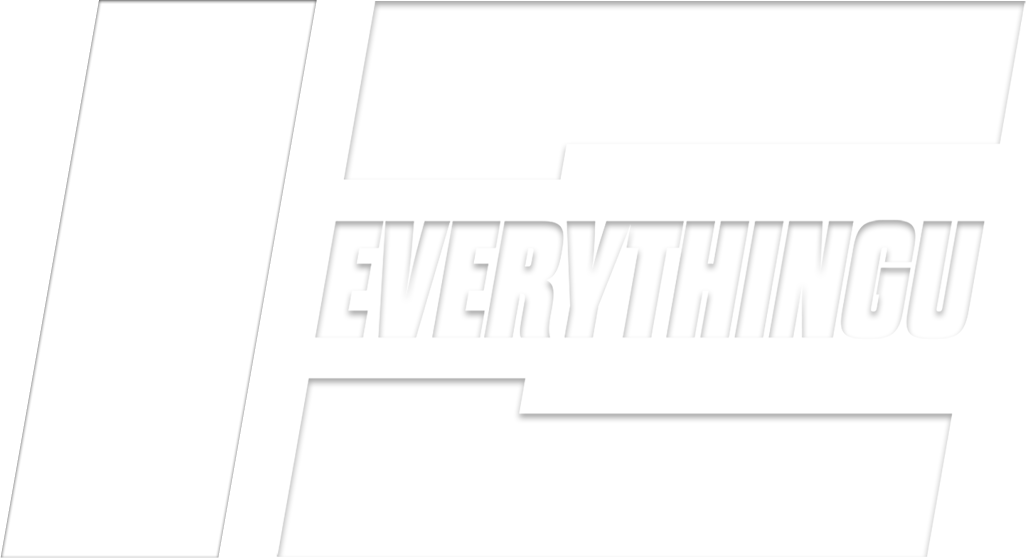 A logo with the words 'NET EVERYTHING!' in bold white uppercase letters on a gray background.