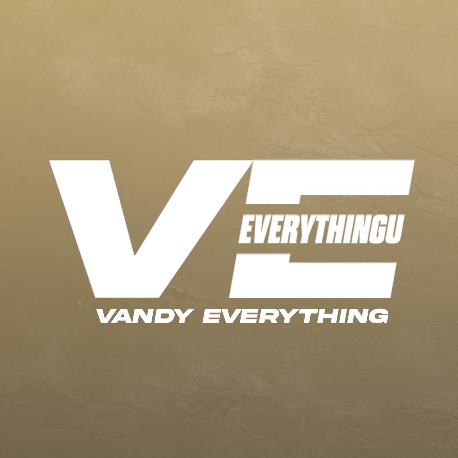 Text logo with large bold letters 'V' and 'E', and smaller text 'EVERYTHINCU' and 'VANDY EVERYTHING' on a textured beige background.