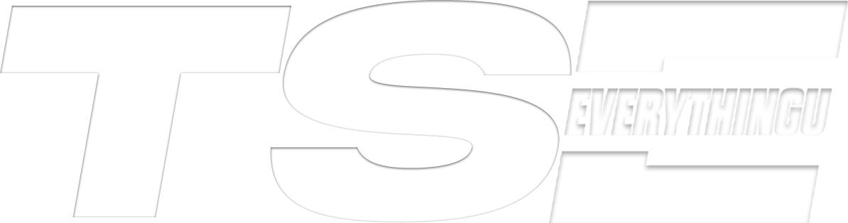 Close-up of a logo with the words 'TS' and 'EVERYTHINGU' in black, white, and gray with a shadow effect.