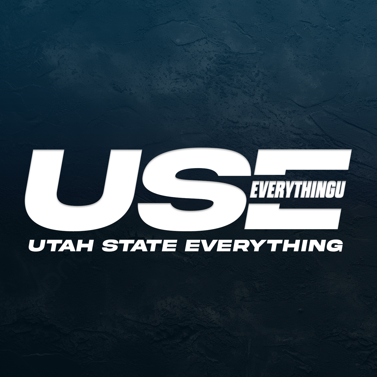 Graphic with large white text reading 'USE' and smaller white text reading 'EVERYTHING' overlaying the 'E', with additional white text below saying 'UTAH STATE EVERYTHING' on a dark textured background.