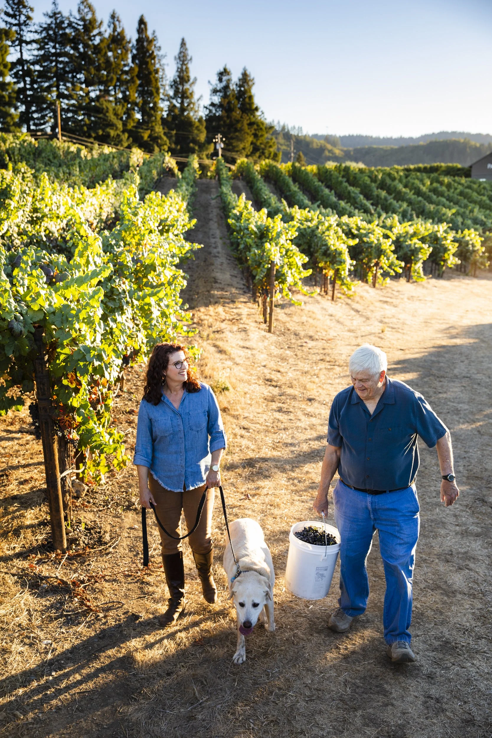 6-California-Commercial-Agriculture-Lifestyle-Photographer-Bay-Area-Sonoma-County-Winegrowers-Association-Healdsburg-Dry-Creek-Vineyard-family-portrait-dog.jpg