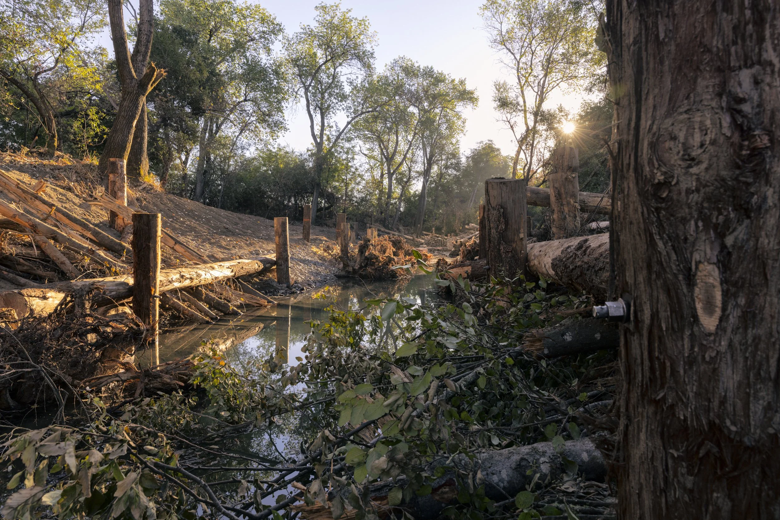 Conservation photography from the gallery THE LAST COHO by California photographer Kaare Iverson - Sonoma County's Dry Creek undergoing habitat enhancement for endangered Salmon.